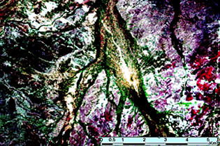 An example of cattle pads radiating from a bore as seen in a Landsat image