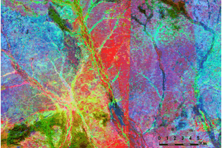 An inter-paddock fence difference, shown in the processed Landsat image: bare ground in red, fresh vegetation in green and old vegetation in blue