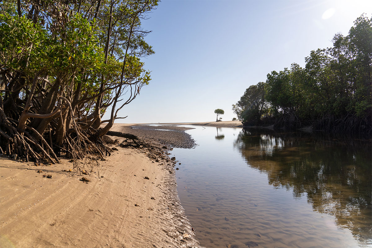 Casuarina Coastal Reserve