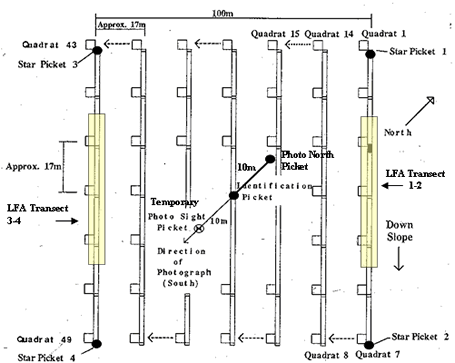 Image showing site size and layout 