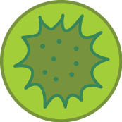 Algae indicator – Chlorophyll-a concentration parameter