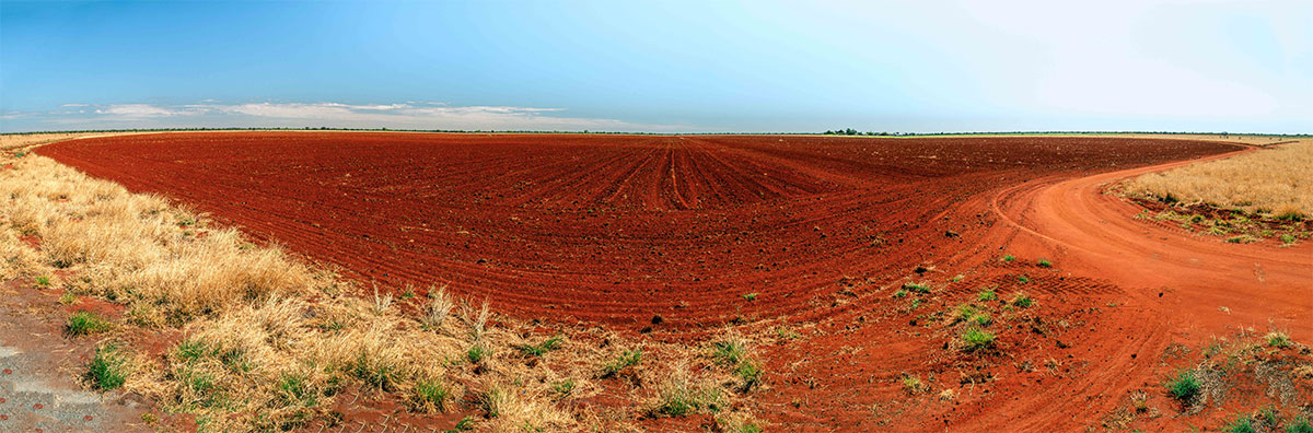 An area of land in the Ti Tree/Western Davenport region preparing for planting new crops.