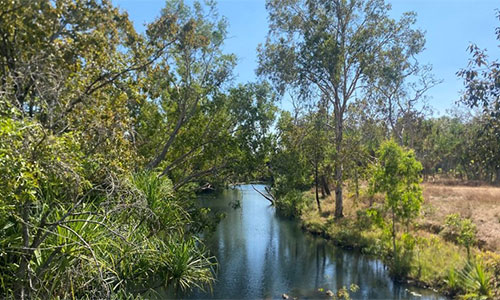 Image of Adelaide River