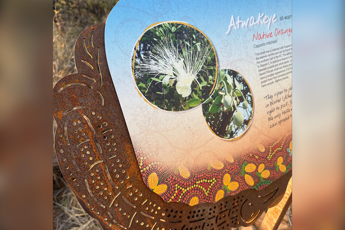 Artwork from Traditional Owners was commissioned and incorporated into the signs to tell the stories of the plants and animals that can be found in the park.