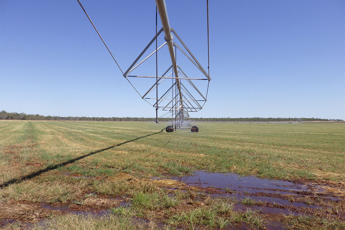 Commercial pivot irrigator in operation