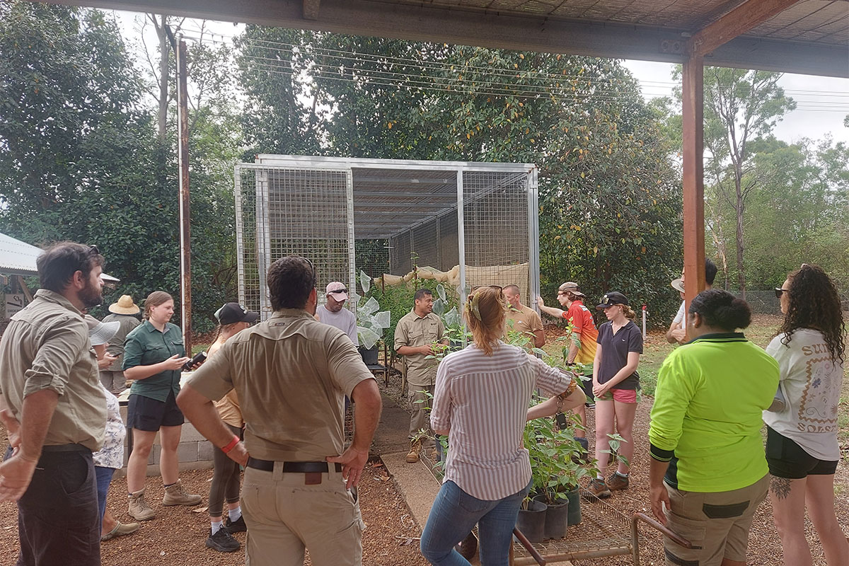 Weed Management Branch hosts Charles Darwin University students